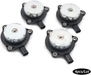 Paiying in Style with our Lion Version Black T-Shirt Detailed Vector Illustration with Gold Accents