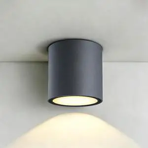 Surface Mounted Downlight Surface Mounted Downlight