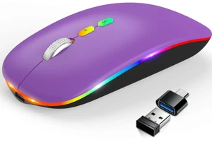 HOTLIFE Wireless Bluetooth Mouse, Slim Rechargeable LED Mouse, 2.4G Portable USB Optical Mouse with Type C Adapter, Purple HOTLIFE Wireless Bluetooth Mouse, Slim Rechargeable LED Mouse, 2.4G Portable USB Optical Mouse with Type C Adapter, Purple