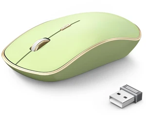 JOYACCESS J 2.4G Slim Wireless Silent Mouse - Portable Wireless Computer Mouse with 5 Adjustable DPI Levels, USB for Desktop, Notebook, MacBook, Chromebook, PC (Light Green) JOYACCESS J 2.4G Slim Wireless Silent Mouse - Portable Wireless Computer Mouse with 5 Adjustable DPI Levels, USB for Desktop, Notebook, MacBook, Chromebook, PC (Light Green)