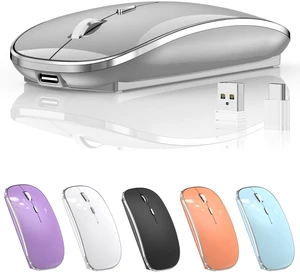 Halpilt Silent Wireless Mouse | USB-C & USB-A Dual Receiver(Grey) Halpilt Silent Wireless Mouse | USB-C & USB-A Dual Receiver(Grey)