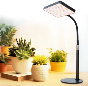 FECiDA Bonsai Grow Light, Table Grow Lights for Indoor Plants Collection FECiDA Bonsai Grow Light, Table Grow Lights for Indoor Plants Collection