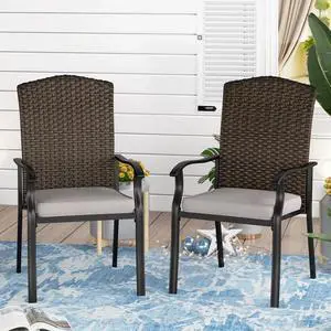 Outdoor Metal Dining Chairs with Cushions for Patio, Garden, Yard Metal Frame with PE Rattan Seat Set of 2