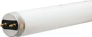 GE Lighting 10322 32-watt 3100-Lumen T8 Light Bulb with Medium Bi-Pin G13 Base, 36-Pack