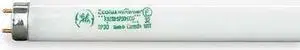 (case of 36) Fluorescent Linear Lamp, T8, Cool White 4100K, 25 watts, 2400 lumens, 48 inch T8