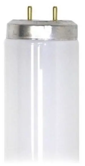 GE Lighting Daylight F17T8  17 watt T8 Fluorescent Tube, 24 inch,  1250 lumens, 6500K Daylight, Medium BiPin (G13) base