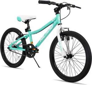 Hiland 20 inch Kids Mountain Bike for Boys and Girls, Single Speed with Dual Handbrakes, Kickstand, Multiple Color
