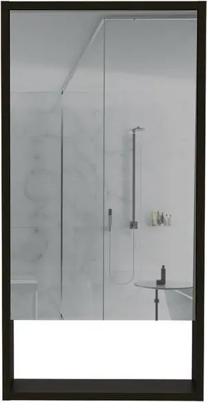 Modesto Medicine Cabinet Black Wengue