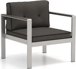 Contemporary Sofa Chair with WPC Armrests and Back Cushions-Gray