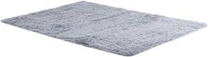 SlickBlue 5 x 7 Feet Modern Rectangular Soft Shag Area Rug for Living Room Bedroom