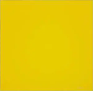 Cokin Z-Pro Series 001 Yellow Resin 100 x 100mm (4 x 4") Filter