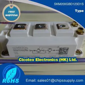 SKM200GBD123D1S MODULE IGBT SKM 200GBD 123D1S Superfast NPT-IGBT Modules SKM200GBD123DIS