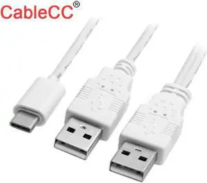 USB 3.1 Type C USB-C to Dual A Male Extra Power Data Y Cable for Cell Phone & Hard Disk
