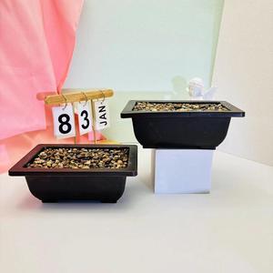 1 Pcs Manufacturers wholesale rectangular Yuhua stone welcome pine flower pot office desktop decoration plastic simulation pot decoration
