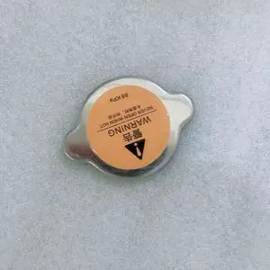 Paiying 21430-1P107 Radiator Cap For Nissan