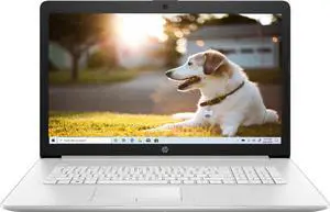 HP 17.3" Full HD Intel core i5-1135G7 4.2 GHz Intel Iris Xe Graphics 16GB RAM 512GB SSD Windows 10 Home Silver