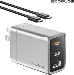 EcoFlow USB C Charger, Rapid 65W GaN Type C Charging Block with Foldable Plug, Fast Wall Charger Compatible with iPhone 15/14/13, Galaxy, Pixel 4, iPad, AirPods, Apple Watch (USBC Cable Included)