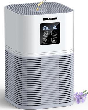 Air Purifiers for Home, HEPA Air Purifiers for Large Room up to 600 sq.ft, H13 True HEPA Air Filter with Fragrance Sponge 6 Timers Quiet Air Cleaner for Pet Dander Wildfire
