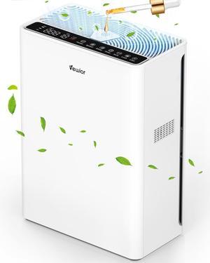 Air Purifiers For Home Large Room Up To 2200 sqft H13 HEPA Air Purifiers Filter With Fragrance Sponge Timer Washable Filter Cover,15 DB Quiet Air Cleaner For Pets Dander Smell Smoke Pollen