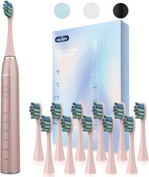 Sonic Electric Toothbrush USB Rechargeable Power Toothbrush with 12 Brush Heads