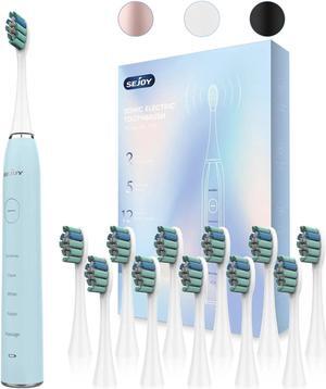 Sonic Electric Toothbrush USB Rechargeable Power Toothbrush with 12 Brush Heads