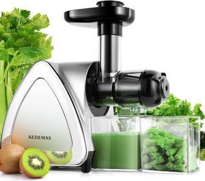 Portable Juicer,Juicer Machines with Reverse Function,Low Noise Electric Cold Press Juicer, High Juice Yield Easy to Clean for Vegetables and Fruits -Silver