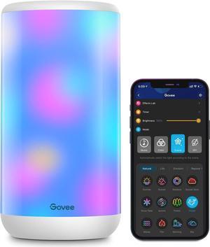 Govee Smart Table Lamp, Dimmable App Wi-Fi Control Lamp with 43 Scene Modes and Music Mode, Warm White Light RGBIC Bedside Lamp for Bedrooms and Living Room, Works with Alexa & Google Assistant