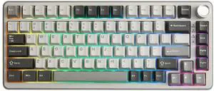 YUNZII B75 PRO Wireless Mechanical Keyboard, Hot Swap Gasket Custom RGB 75% Knob Gaming Keyboard, Creamy Pre-lubed Switches, Triple Mode Bluetooth/Type-C/2.4G for Win/Mac (Gray, Milk V2 Switch) YUNZII B75 PRO Wireless Mechanical Keyboard, Hot Swap Gasket Custom RGB 75% Knob Gaming Keyboard, Creamy Pre-lubed Switches, Triple Mode Bluetooth/Type-C/2.4G for Win/Mac (Gray, Milk V2 Switch)