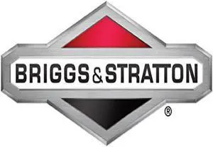 Briggs & Stratton 691034 808281 692313 557033 Engine Motor Fuel Gas Oil Pump