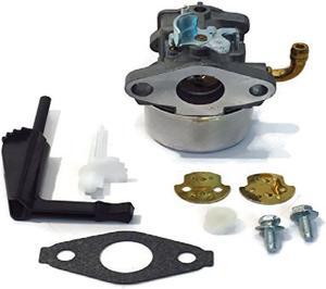 Carburetor For Briggs & Stratton 795069, 698859, 790180, 790290, 693865, 697354