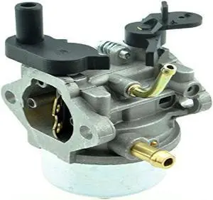 Carburetor For Briggs & Stratton 801396 801233 801255 Snow Blowers