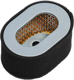Air Filter Cleaner for Titan TG6500D TG7500D Diesel Generator