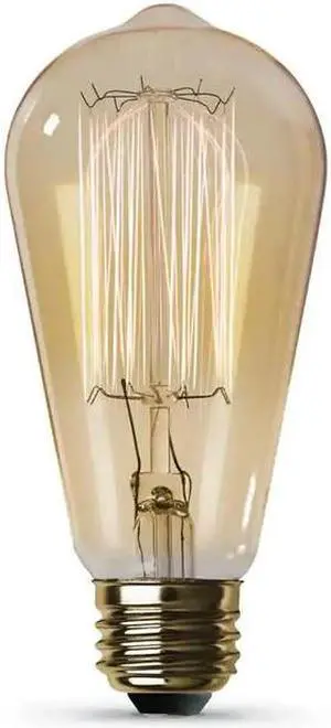 60-Watt ST19 Dimmable Cage Filament Amber Glass E26 Vintage Edison Incandescent Light Bulb, Warm White  Feit Electric 
# 60ST19 # 1004525026