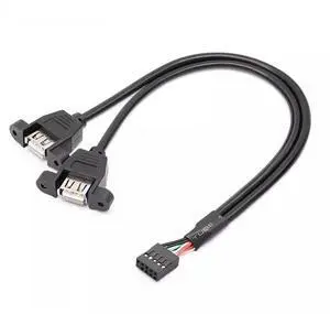 Dupont 2.54 pitch 5P motherboard 9-pin to USB2.0 cable 9-pin to dual USB2.0 cable with screws