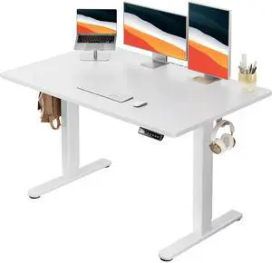 48" x 30" One Piece Electric Standing Desk, Height Adjustable Computer Desk with 4 Height Memory Settings, Sit Stand up Desk for Home Office, White