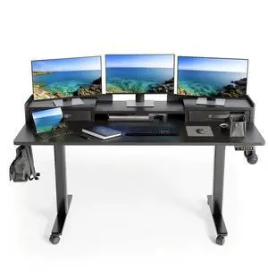 55" Adjustable Standing Desk with 2 Storage Drawers, Height Adjust Mobile Stand up and Down Desk,Electric Sit-Stand Large Work Desk with 4 Wheels Rising Computer Table for Office Home,Black