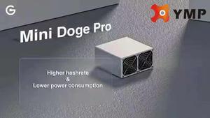 Mini Doge Pro 205MH/s 220W Upgrade Version From Mini Doge WITHOUT PSU