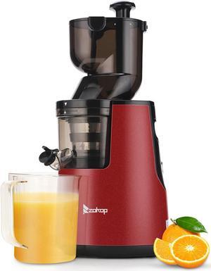 Ventray Essential Ginnie Juicer, Compact Small Cold Press Juicer,  Masticating Slow Juicer with 60RPM Low Speed, Easy to Clean & Nutrient  Dense