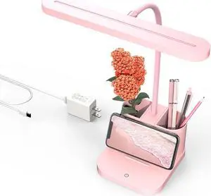 AXX Pink Desk Lamp for Home Office, Cute Table Lights for Bedrooms, Kawaii, Dimmable LED, Flexible Gooseneck, Pen Holder, Touch Control, Room College Dorm Essentials for Teen Girls Kids