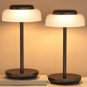 QiMH Battery Operated LED Table Lamp, 2 Pack 5000mAh Cordless Desk Lamp with 3 Level Brightness Touch Control, Mini Rechargeable Night Light for Living Room, Bedroom, Outdoor bar (Black)