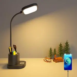 LED Desk Lamps for Home Office Reading Study, 3 Color Touch Battery Operated Desk Lamp for Kids, Super Bright Desk Lamp USB Port Pen Holder Tall Flexible Gooseneck Rechargeable Battery Powered Black