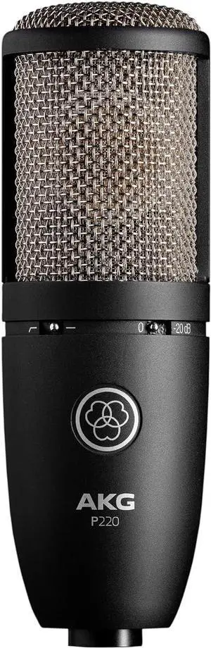 AKG Pro Audio P220 High-Performance Condenser Microphone, Great for Vocals, Guitar, Brass, and General Recording. XLR Wired Mic, for Studio or Stage. Black