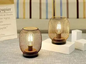 JHY DESIGN Set of 2 Metal Cage LED Lantern Battery Powered,Cordless Accent Light with LED.Great for Weddings,Parties,Patio,Events for Indoors Outdoors(Round Shape)