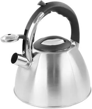 Mr. Coffee 3 Quart Stainless Steel Whistling Tea Kettle  510116485M