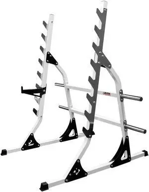 Deltech Fitness Squat Rack (DF4400)