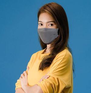 KN Flax KF94 Face Mask - Adult/Grey - 10 Count