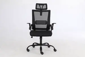 QIGRIF furniture Store Office Chair, Ergonomic Office Chair High Back Mesh Office Chair with Padded Lumbar Support.