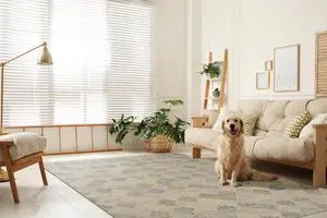 Hand-Tufted Wool Multi-Colored Transitional Geometric Modern Tufted Rug, Made in India