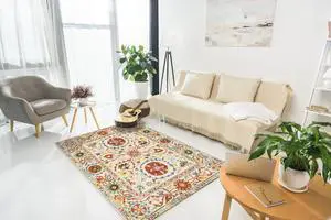 Hand-Tufted Wool Ivory Transitional Floral Suzani Rug, Made in India