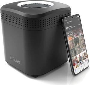 AmberPRO Personal Cloud Storage Device + AC2600 WiFi router. Dual 2TB hard drives with RAID 1 or optional 4TB with RAID 0. Plex and Home Assistant. IOS/Android/Windows/Mac compatible. AM1211-2TB